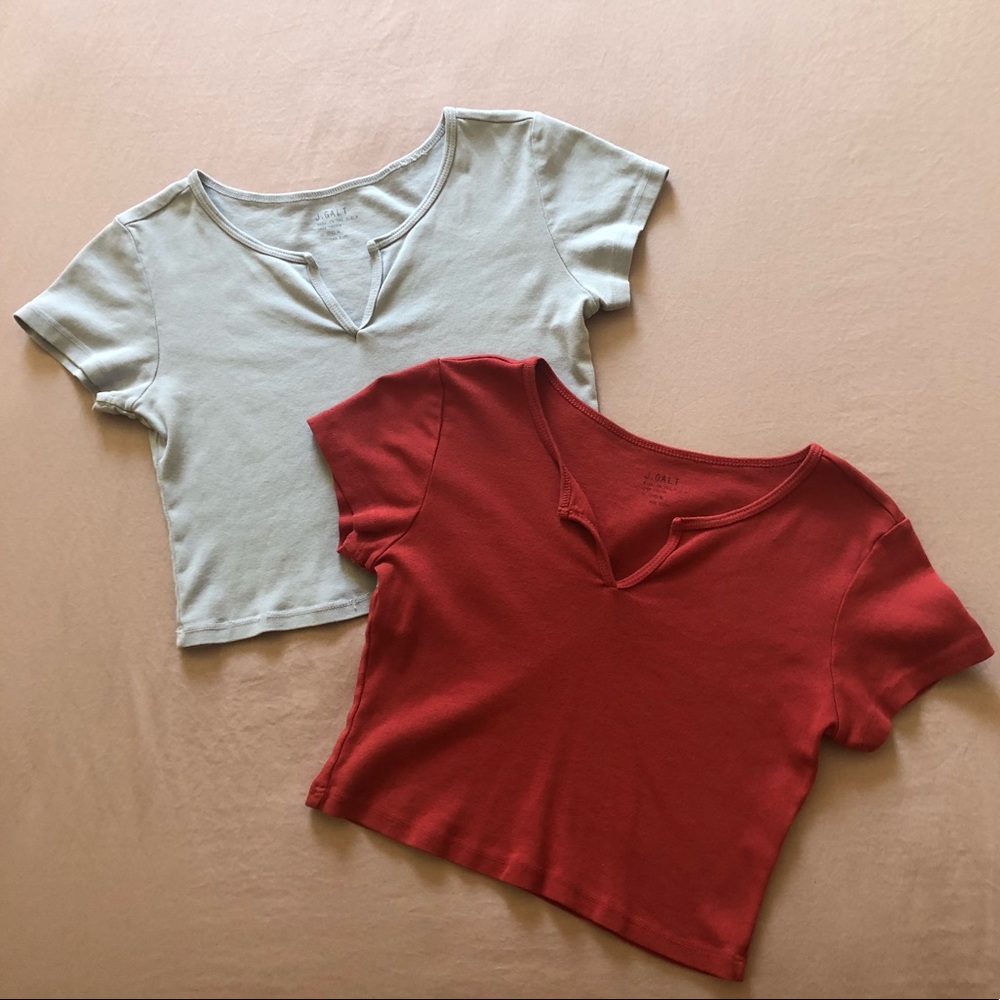 (2) Brandy Melville crop tops